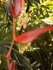 DSCN0056