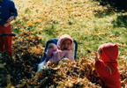 Raking Leaves001