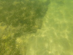 G0020416
