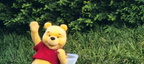 Winnie the Pooh4