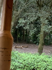 IMG 7875